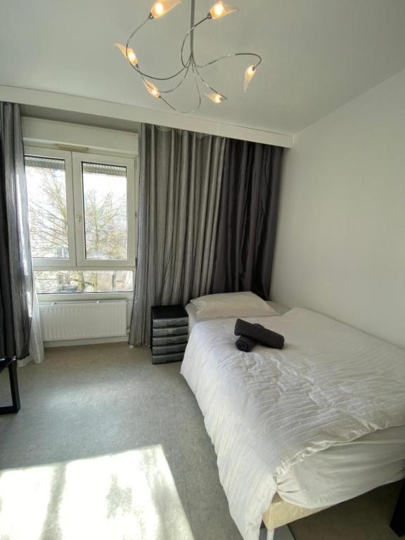 Nancy Hyper Centre, Chambre Prive Chez L'Habitant En Colocation Kültér fotó