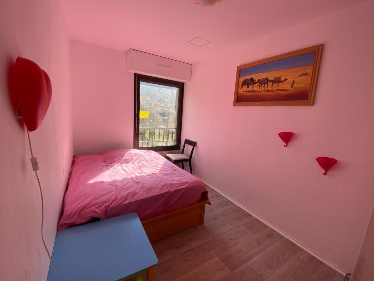 Nancy Hyper Centre, Chambre Prive Chez L'Habitant En Colocation Kültér fotó